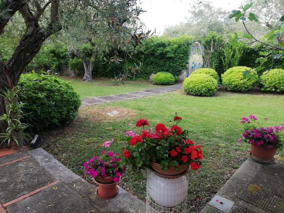 Villa Brezza Capaccio Dış mekan fotoğraf
