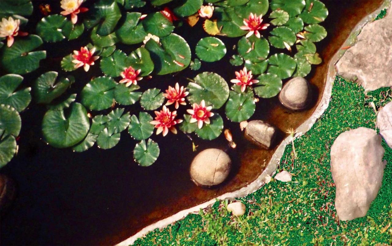 Villa Brezza Capaccio Dış mekan fotoğraf
